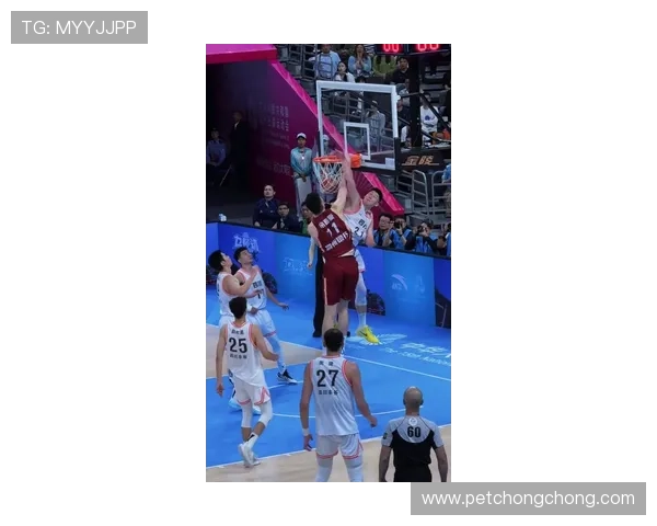 鲍威尔灵巧晃飞胡金秋撤步三分命中点燃CBA赛场激情全场观众沸