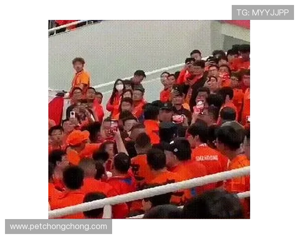 球迷组织线上回顾经典比赛活动互动火热 引发球迷热烈讨论和回忆