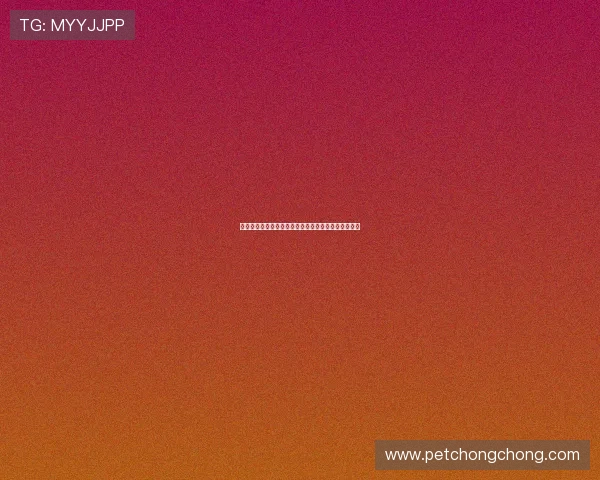 马雷斯卡称赞恩昆库实力但强调帕尔默在球队的重要性